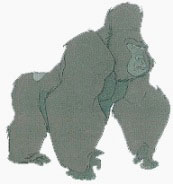 Kerchak 3