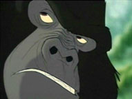 Kerchak Close-Up