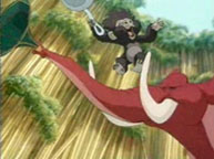 Tantor and Monkey
