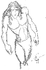 Tarzan Fan Sketch